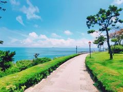 -燕儿岛山公园