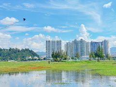 -洱海月湿地公园