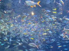 -成都浩海立方海洋公园