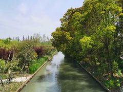 -上海长兴岛郊野公园