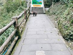 -峨眉山风景名胜区