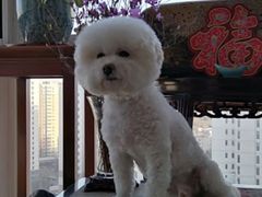 -乐琪宠物(青塔西路店)