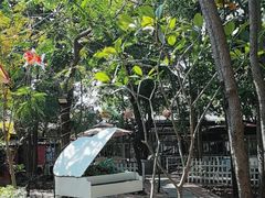 -陶缘一号·四季缘·老字号顺德菜·户外婚礼家宴(西滘店)