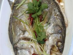 -日照大牌檔•小船海鲜(万平口店)
