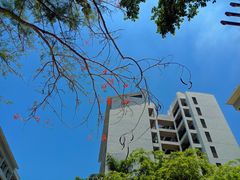 -海南热带海洋学院(三亚校区)