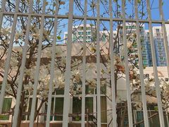 -启明东润幼儿园(东润园)