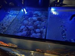 -唐拉雅秀酒店-西锦汇空中BBQ·思创餐厅
