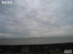 -大湾区中央湿地公园