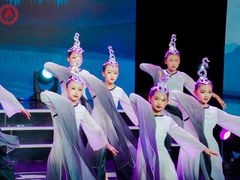 -西安小天鹅艺术团(金花路校区)