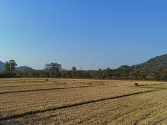 -风云岭森林公园