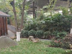 -大妙火锅·非物质文化遗产(东湖公园店)