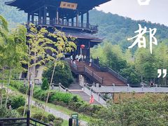 -大唐贡茶院