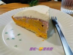 -猫里有甜