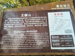 -王顺山国家森林公园