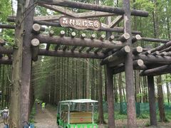 -黄海国家森林公园