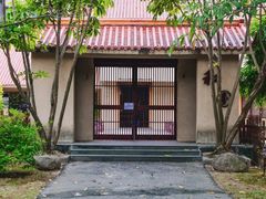 -金花茶公园