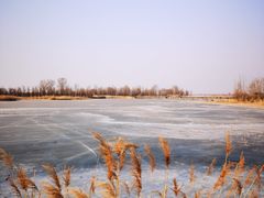 -野鸭湖国家湿地公园