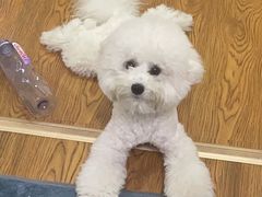 -联合动物医院(光谷诊疗中心)