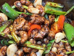 -天宝食坊·啫啫煲大排档(西华路店)