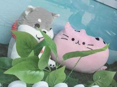 -安安宠医宠物医院·异宠·犬猫内科(岳阳分院)