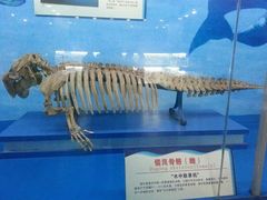 -北海·海洋之窗