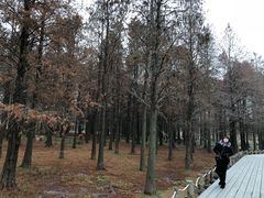 -大莲湖农家乐(青西郊野公园店)