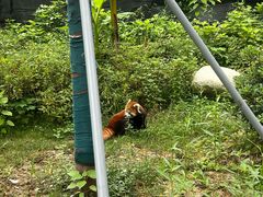 -成都动物园