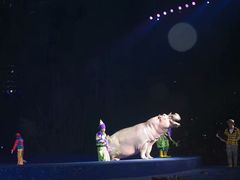 -广州长隆国际大马戏
