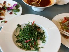 -东哥紫阳蒸盆子(旺座·现代城店)
