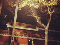 -大学路8号炸串(大学路十四号院店)