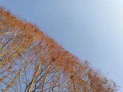 -四川大学(江安校区)
