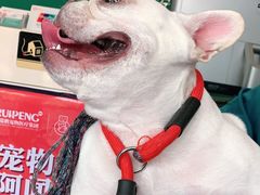 -安安宠医·安宠宠物医院