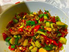 鸭掌筋-壹盏灯(惠农店)