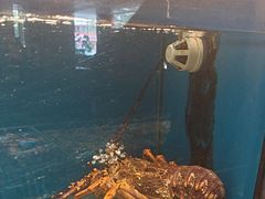 -百富源·海鲜辽菜(和平北大街店)