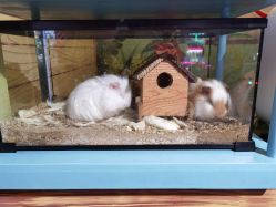 -酷嗒动物文化乐园(cutezoo西溪乐天城店)