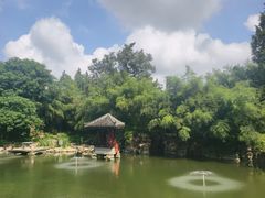 -水绘园