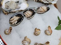 -金龙·打边炉(武进路店)