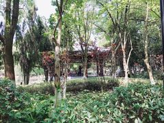 -瀛洲公园