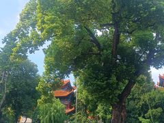 -宝通禅寺