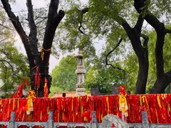 -大槐树寻根祭祖园