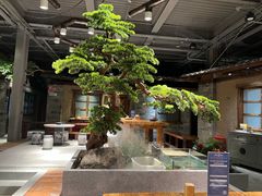 -丹江渔村(首都机场店)