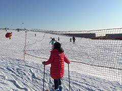 -葫芦古镇关东民俗雪乡