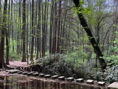 -波尔登森林公园