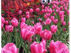 -海心沙亚运公园