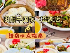 -阳阳中国饭(北京荟聚店)