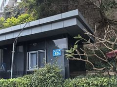 -金鸡山公园