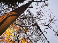 -安胖老火锅(两路口店)