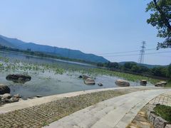 -长田漾湿地公园