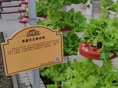 -北戴河集发农业梦想王国