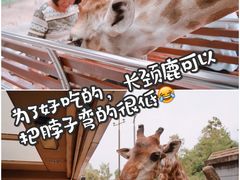-清迈夜间动物园